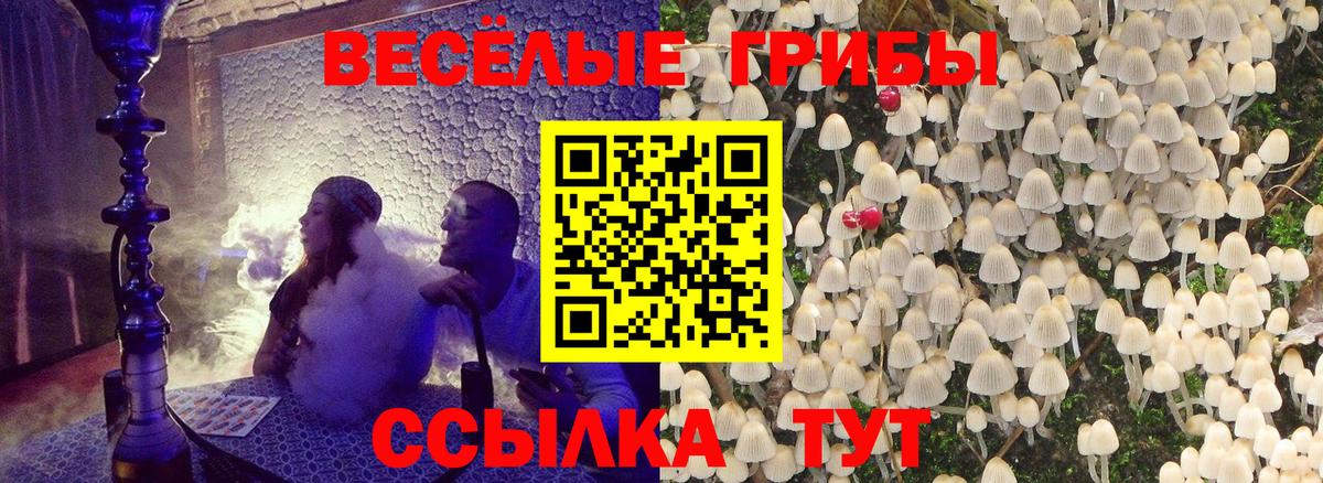 Лобня  Псилоцибиновые грибы GOLDEN TEACHER  наркошоп  Вход с VPN 